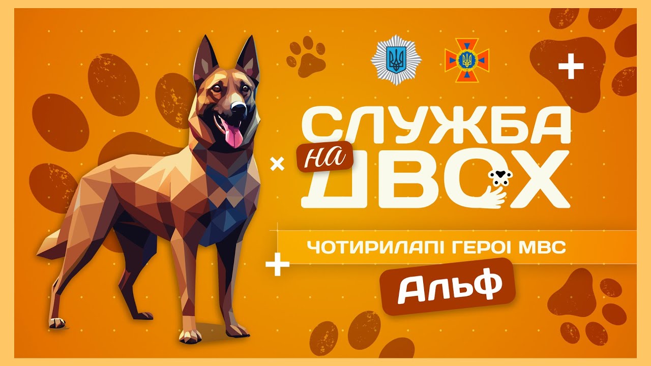 🧨 АЛЬФ — рятувальний пес-піротехнік | Служба на двох