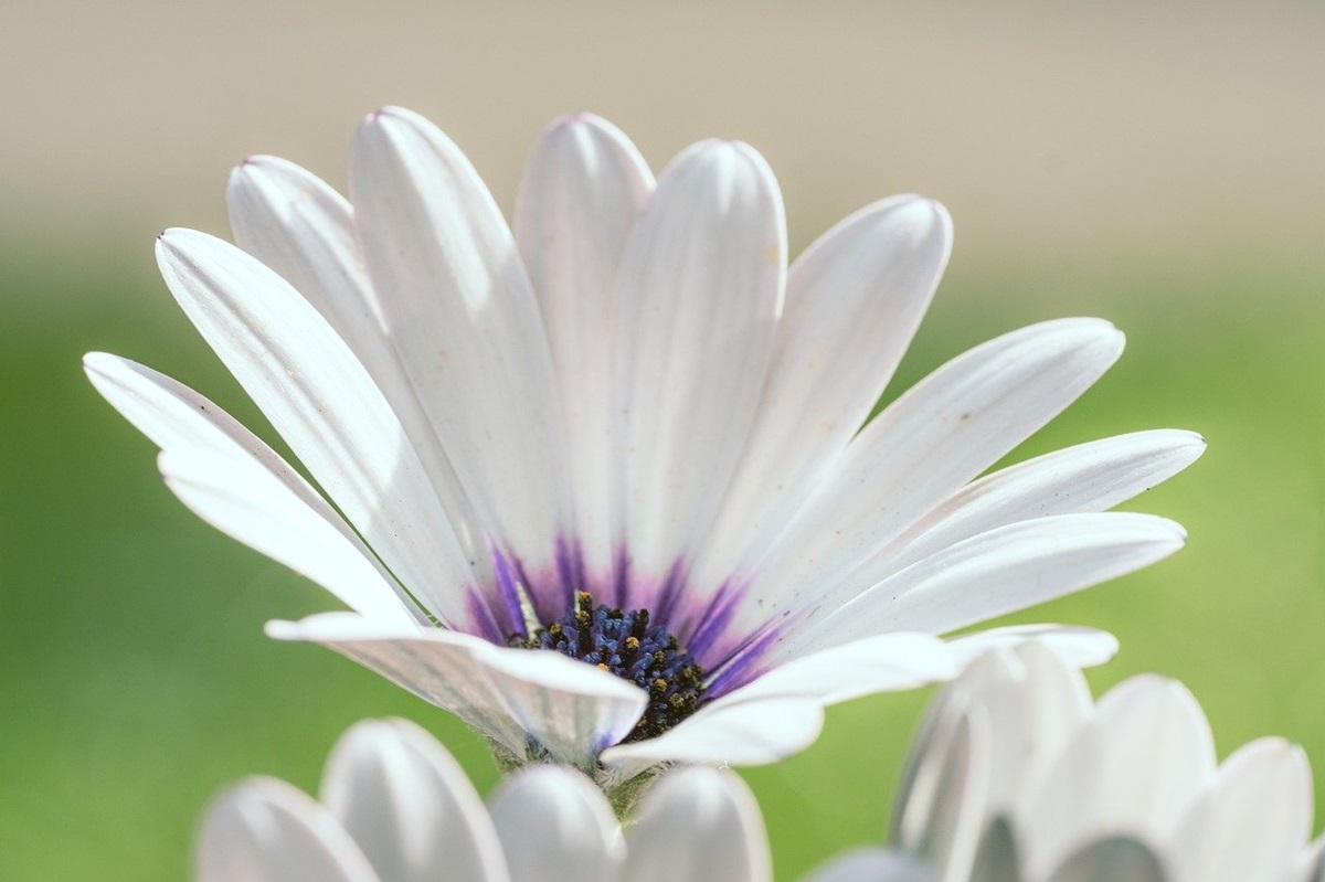 Новини культури - Гороскоп для всіх знаків зодіаку на 20-21 вересня 2025 року