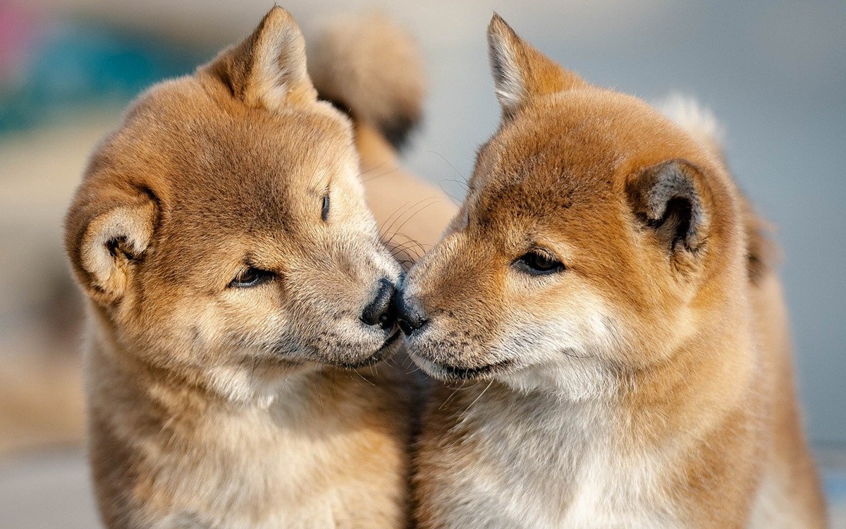 Новини культури - Гороскоп для всіх знаків зодіаку на 24 вересня 2025 року