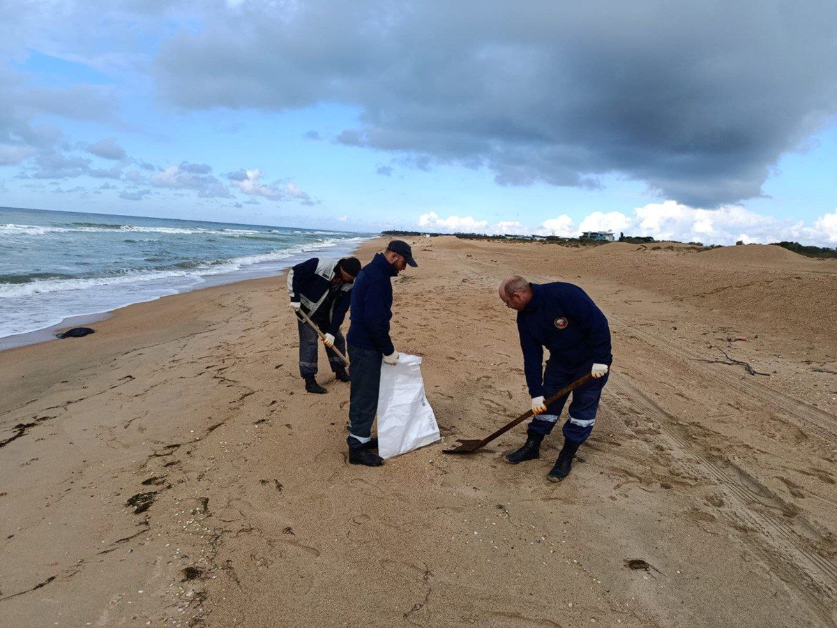 Новини світу - На пляжах Анапи з'явилися нові викиди мазуту