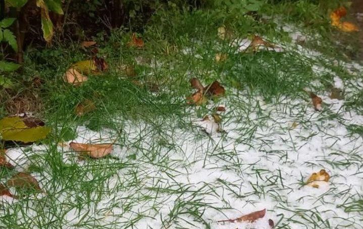 Новини Києва - Під Києвом випав перший сніг - соцмережі