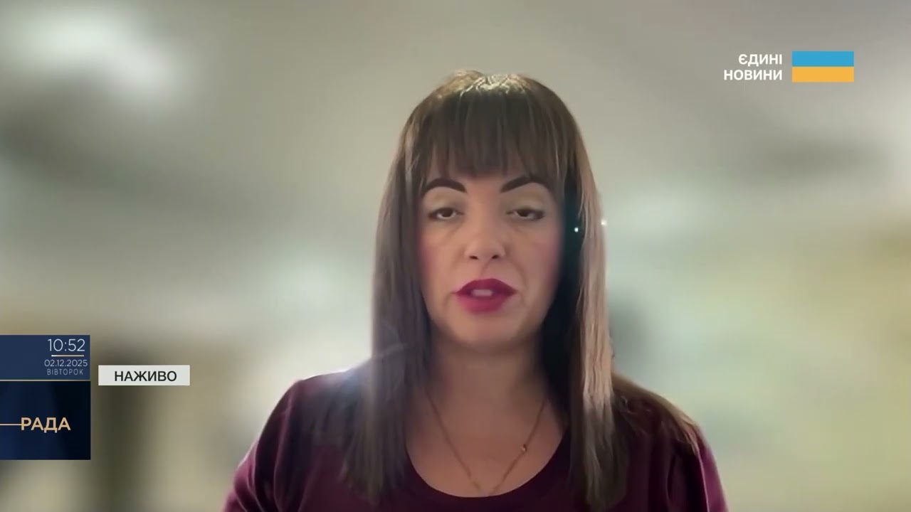 Чи стануть заморожені активи рф частиною доходів бюджету | Леся Забуранна