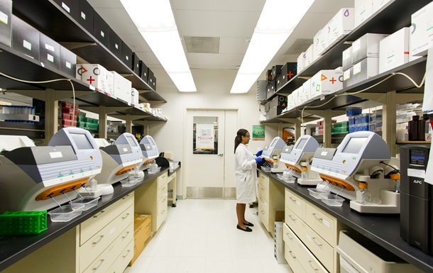 Технології - Ожиріння суттєво пришвидшує розвиток хвороби Альцгеймера - дослідження